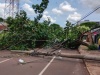  Clima 