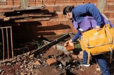  Dourados investiga nova morte por chikungunya e casos seguem em alta 