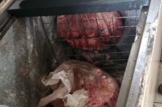  Batida policial apreende mais de 700kg de carne, banha e leite impróprios para consumo 