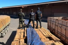  Suspeita de cocaína mantém há um mês 230 toneladas de madeira retidas 