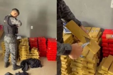 Mulher é presa com 486 kg de maconha escondidos nos fundos da casa 