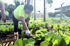  Da terra ao prato, horta quilombola faz florescer histórias e tradições 