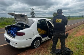 DOF apreende 700 kg de maconha após perseguição e prende motorista