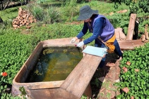 Força-tarefa contra chikungunya visita mais de 300 casas em um dia na Reserva Indígena