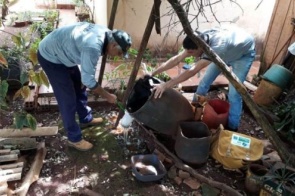 Dourados registra primeira morte por chikungunya fora da reserva indígena e total chega a 8