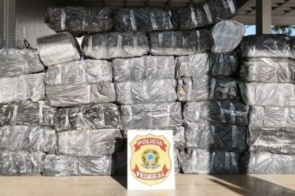 Mais de 1t de maconha que saiu de MS é apreendida em SP