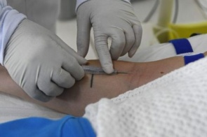 Sem casos confirmados há 7 anos, MS reforça vigilância contra hantavirose
