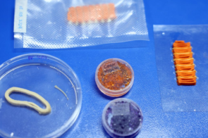 Embrapa produz em laboratório salmão, caviar e anéis de lula veganos