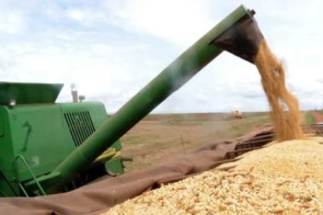 MS dispara no agronegócio e registra 2º maior crescimento entre principais estados produtores do país