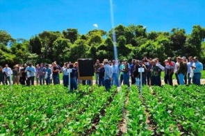 Com fundo de R$ 150 milhões, MS cria polo de inovação para o agro