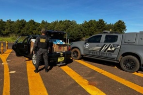 Idoso é flagrado com carregamento de cigarros contrabandeados