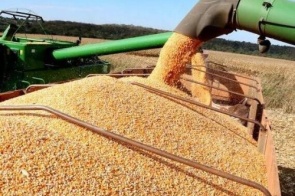 Entra ano, sai ano, Rainha do Agro segue firme e forte