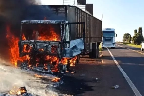 Carreta boiadeira pega fogo e bois são soltos para escapar das chamas