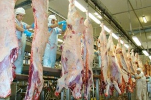 Tarifa dos EUA poupa carne bovina e reduz impacto nas exportações de Mato Grosso do Sul