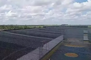 Drone é derrubado ao tentar levar cocaína e celular a presídio