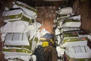 Bunker com 1,22 tonelada de maconha é encontrado em casa no Jardim Itamaracá