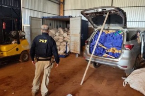 PRF descobre entreposto de maconha ligado a quadrilha que furtava caminhonetes
