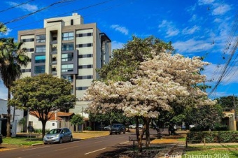  Brasil 