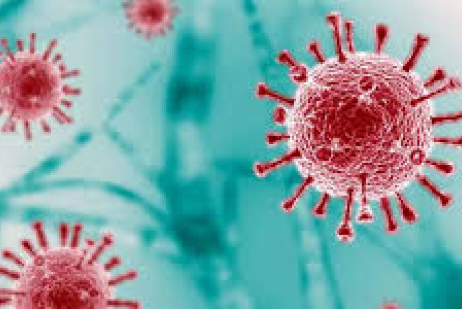 nova variante da Covid-19 está presente em 23 países - Arquivo