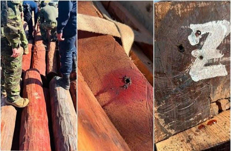 Havia suspeita que pudesse haver cocaína em estado líquido na madeira apreendida - Foto: Divulgação
