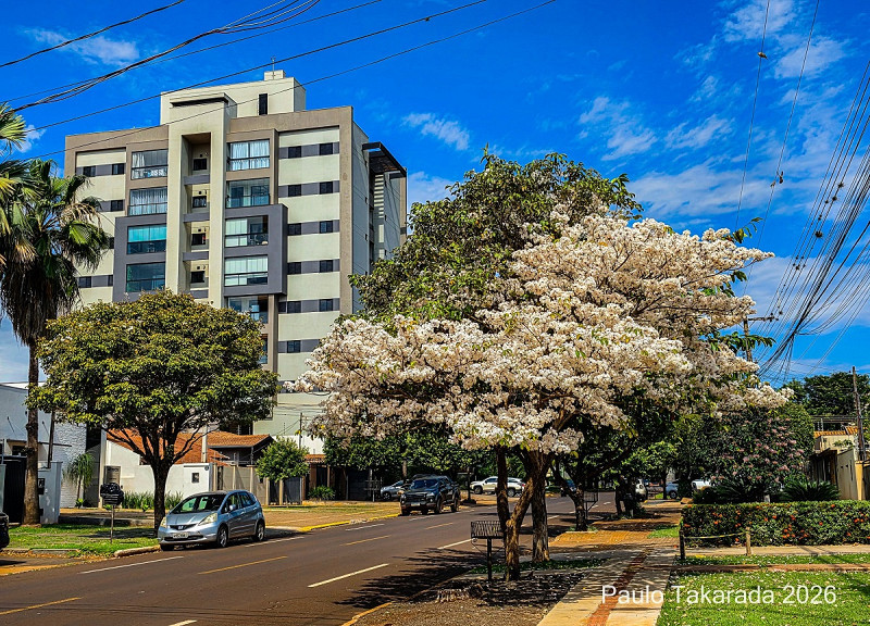 Dourados pode ter mínima de 13ºC na quarta-feira - Foto: Paulo Takarada
