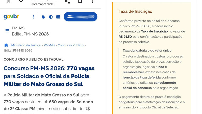 Golpistas utilizam sites falsos com identidade do Governo Federal. (Foto: Reprodução)